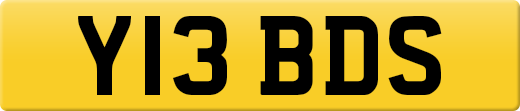 Y13BDS