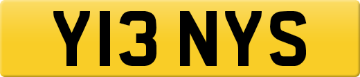 Y13NYS