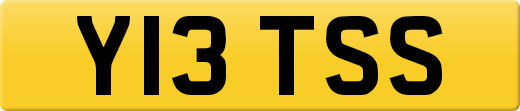 Y13TSS