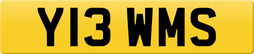 Y13WMS