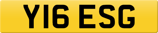 Y16ESG
