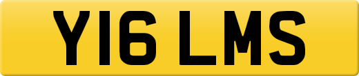 Y16LMS