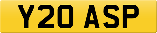 Y20ASP