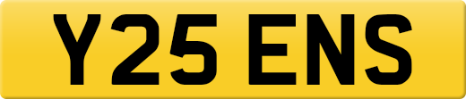 Y25ENS