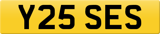 Y25SES