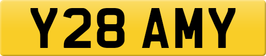 Y28AMY