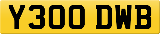Y300DWB
