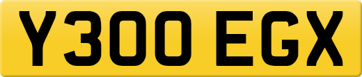 Y300EGX