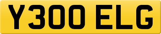 Y300ELG