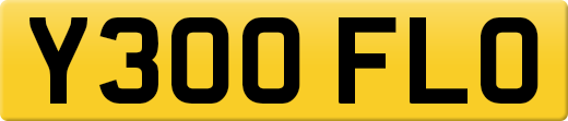 Y300FLO
