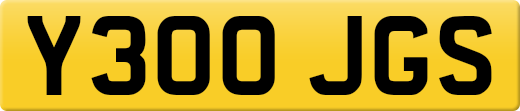 Y300JGS