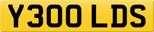 Y300LDS