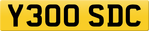 Y300SDC