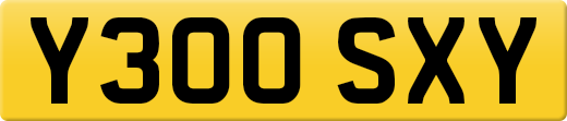 Y300SXY