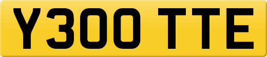 Y300TTE