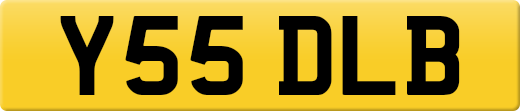 Y55DLB