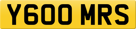 Y600MRS