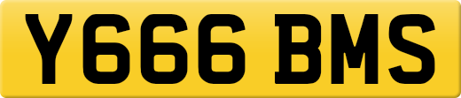 Y666BMS