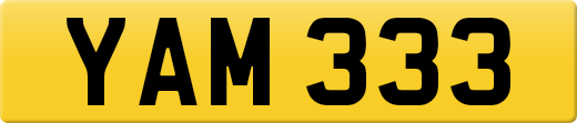 YAM333