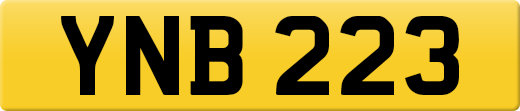 YNB223