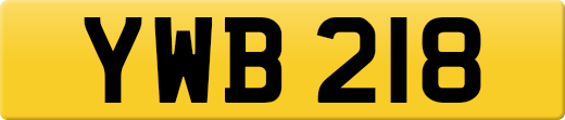 YWB218